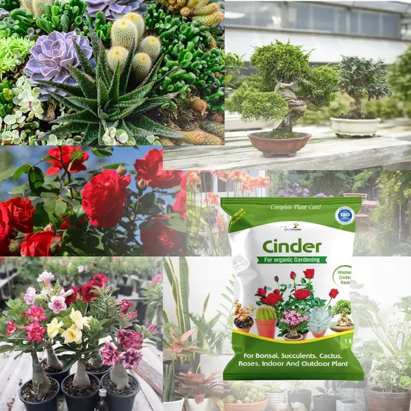Green_Paradise_Cinder_High_Quality_Gardening_Aggregate_For_Thriving_Plants