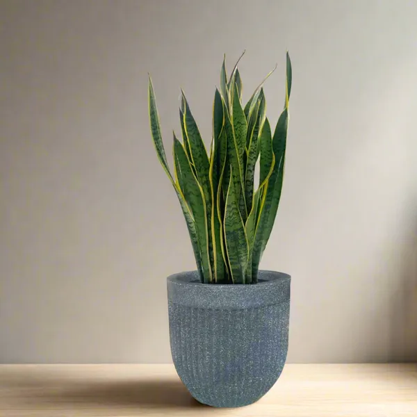 Green_Paradise_Roto_Molded_Marble_Finish_Round_Planter_12_Inch_Lightweight_Unbreakable_Marble_Finish_Drainage_Hole_Outdoor_Indoor_Use_Default_Title