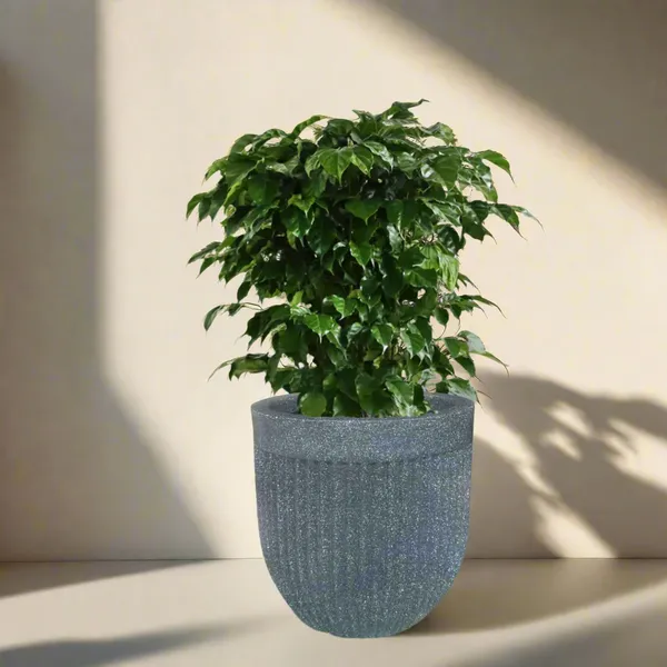 Green_Paradise_Roto_Molded_Marble_Finish_Round_Planter_12_Inch_Lightweight_Unbreakable_Marble_Finish_Drainage_Hole_Outdoor_Indoor_Use_Default_Title