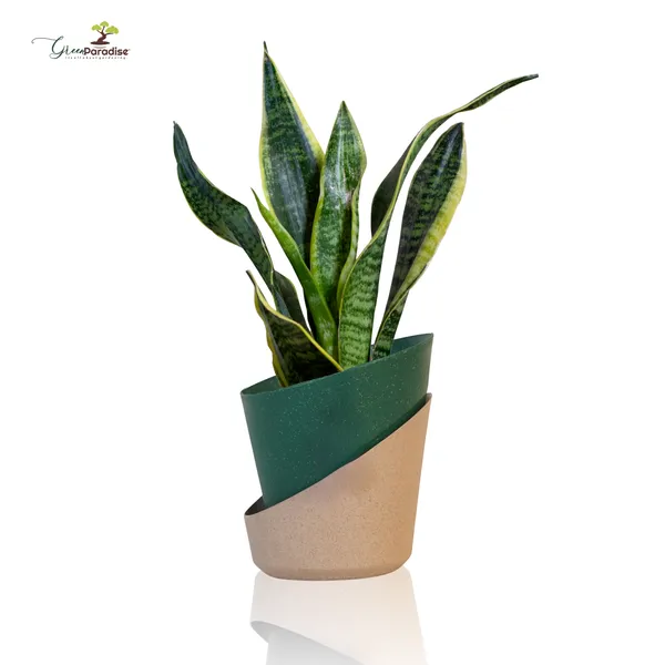 Green_Paradise_Eco_Friendly_Self_Watering_Pot_Modern_Aesthetic_Sustainable_Build_Random_Colors_Red_Set_Of_1