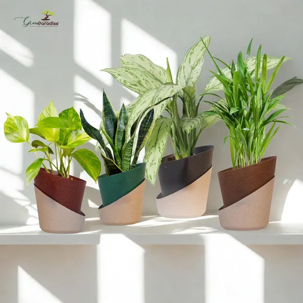 Green_Paradise_Eco_Friendly_Self_Watering_Pot_Modern_Aesthetic_Sustainable_Build_Random_Colors_Red_Set_Of_2