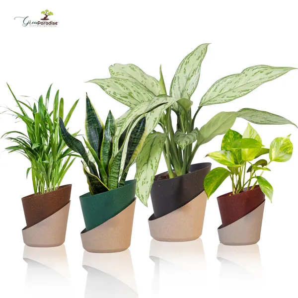 Green_Paradise_Eco_Friendly_Self_Watering_Pot_Modern_Aesthetic_Sustainable_Build_Random_Colors_Red_Set_Of_2