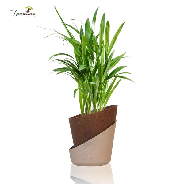 Green_Paradise_Eco_Friendly_Self_Watering_Pot_Modern_Aesthetic_Sustainable_Build_Random_Colors_Red_Set_Of_3