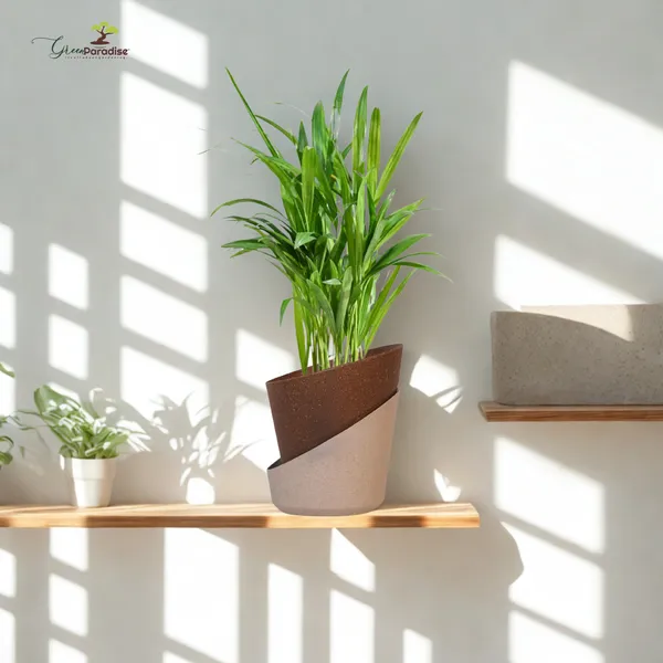 Green_Paradise_Eco_Friendly_Self_Watering_Pot_Modern_Aesthetic_Sustainable_Build_Random_Colors_Red_Set_Of_4