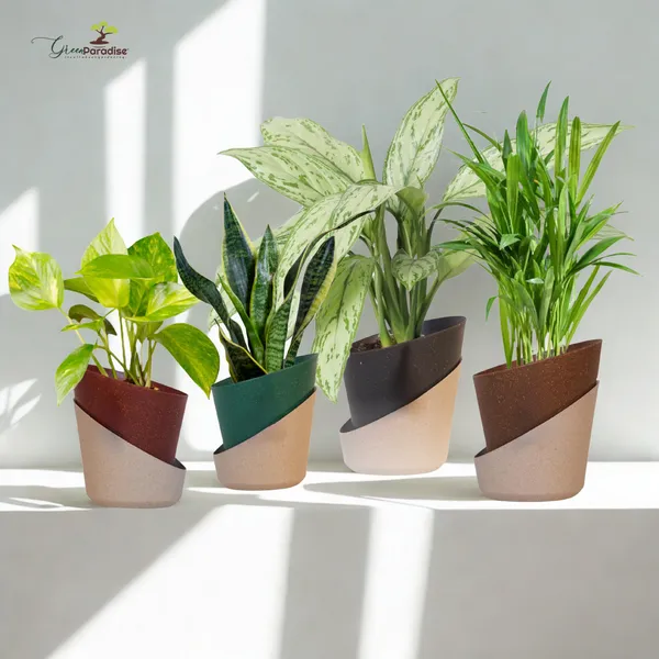 Green_Paradise_Eco_Friendly_Self_Watering_Pot_Modern_Aesthetic_Sustainable_Build_Random_Colors_Red_Set_Of_4