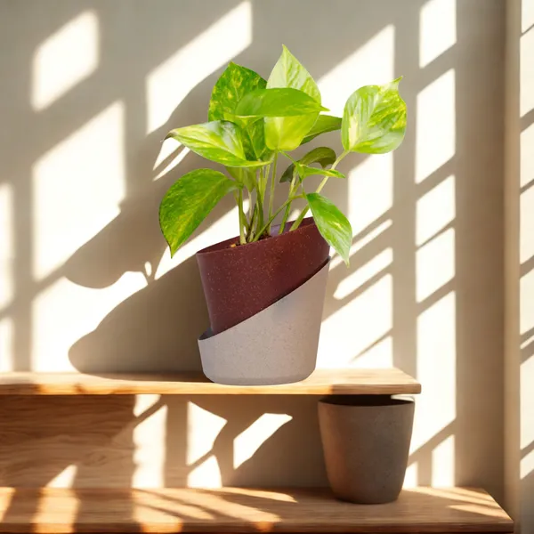 Green_Paradise_Eco_Friendly_Self_Watering_Pot_Modern_Aesthetic_Sustainable_Build_Random_Colors_Red_Set_Of_4