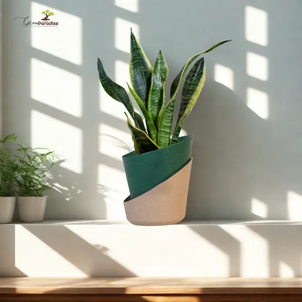 Green_Paradise_Eco_Friendly_Self_Watering_Pot_Modern_Aesthetic_Sustainable_Build_Random_Colors_Red_Set_Of_4