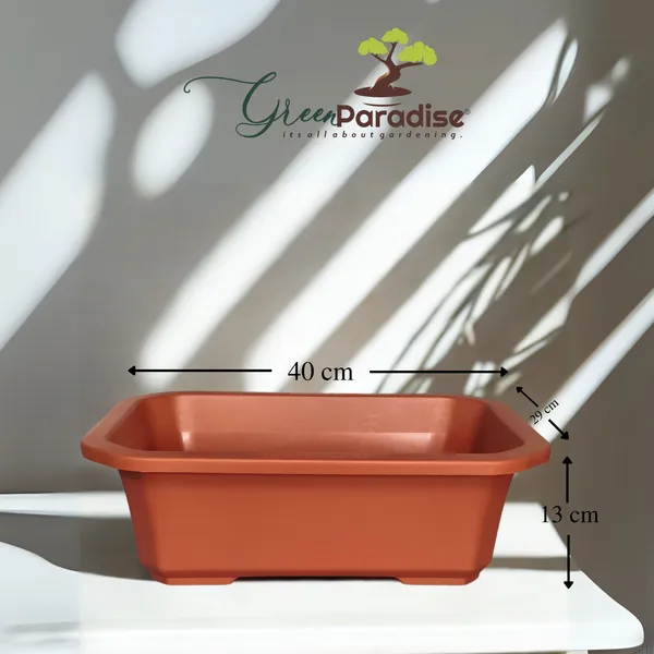 Green_Paradise_Premium_Rectangular_Bonsai_Pot_Durable_Plastic_40cm_Pot_Brown_Single