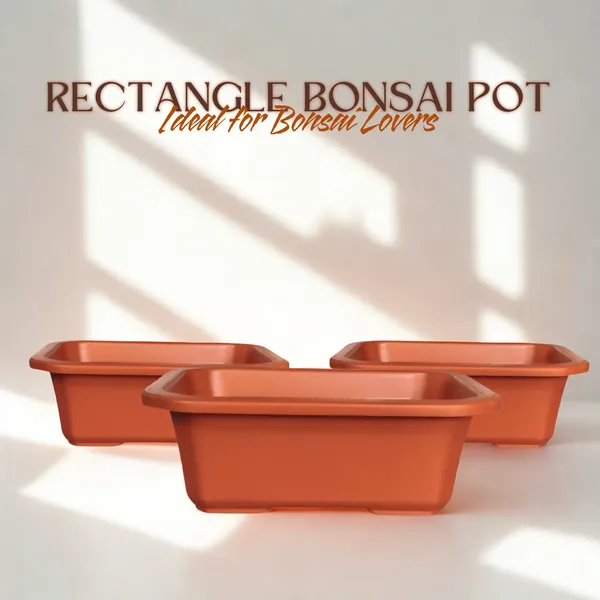 Green_Paradise_Premium_Rectangular_Bonsai_Pot_Durable_Plastic_40cm_Pot_Brown_Set_Of_3