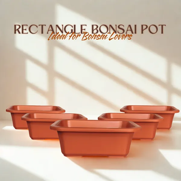 Green_Paradise_Premium_Rectangular_Bonsai_Pot_Durable_Plastic_40cm_Pot_Brown_Set_Of_5