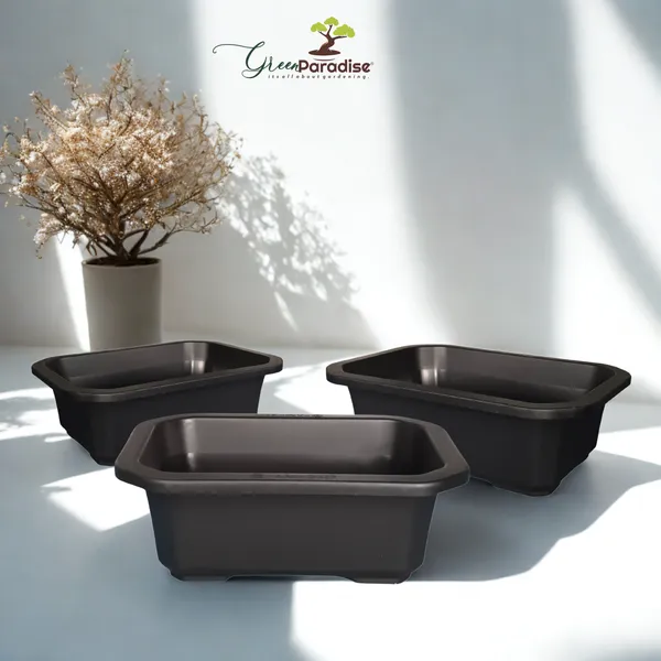 Green_Paradise_Premium_Rectangular_Bonsai_Pot_Durable_Plastic_40cm_Pot_Black_Set_Of_3