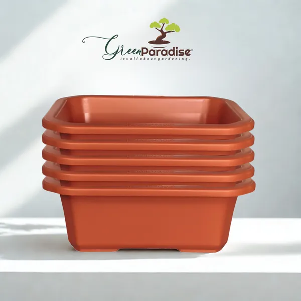 Green_Paradise_Premium_Rectangular_Bonsai_Pot_Durable_Plastic_28cm_Pot_Single