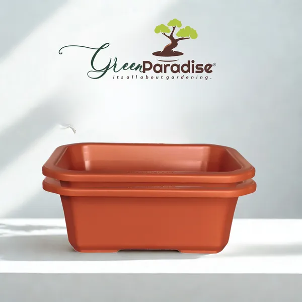 Green_Paradise_Premium_Rectangular_Bonsai_Pot_Durable_Plastic_28cm_Pot_Single