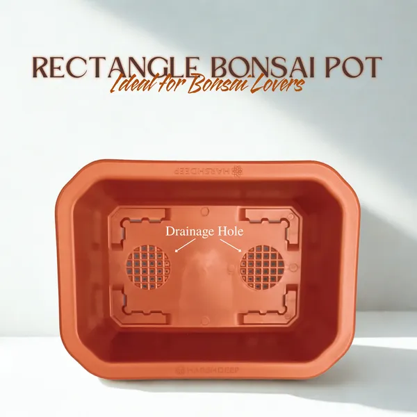 Green_Paradise_Premium_Rectangular_Bonsai_Pot_Durable_Plastic_28cm_Pot_Single