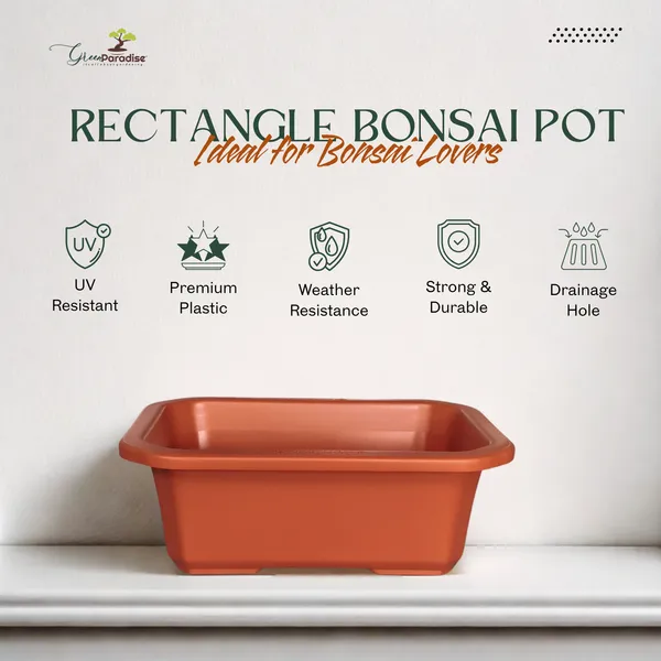 Green_Paradise_Premium_Rectangular_Bonsai_Pot_Durable_Plastic_28cm_Pot_Single