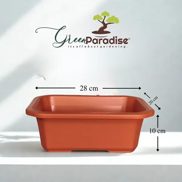 Green_Paradise_Premium_Rectangular_Bonsai_Pot_Durable_Plastic_28cm_Pot_Single