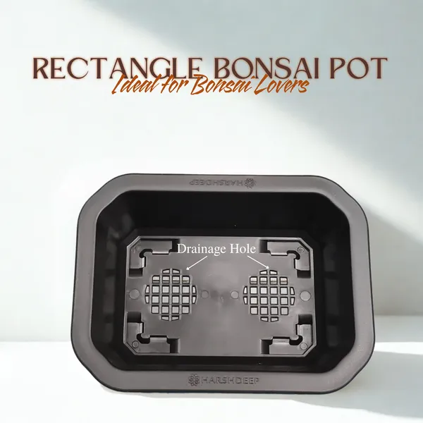 Green_Paradise_Premium_Black_Rectangular_Bonsai_Pot_Durable_Plastic_21cm_Pot_Single