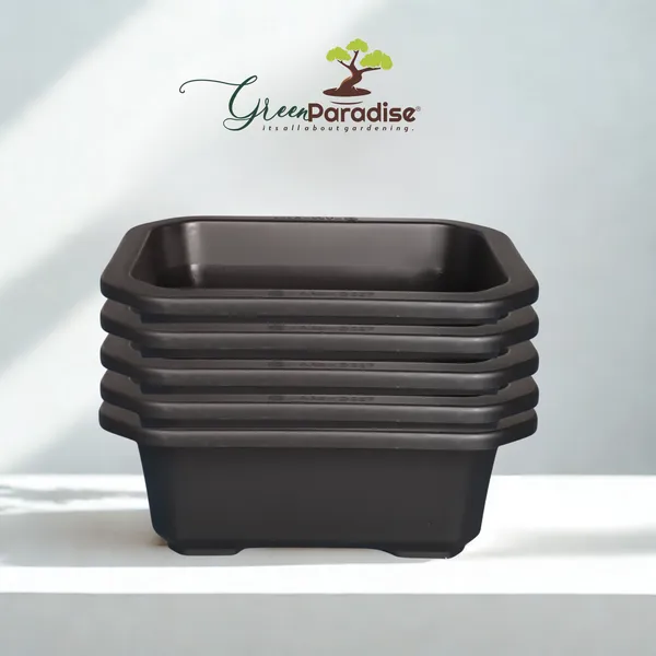 Green_Paradise_Premium_Black_Rectangular_Bonsai_Pot_Durable_Plastic_21cm_Pot_Single
