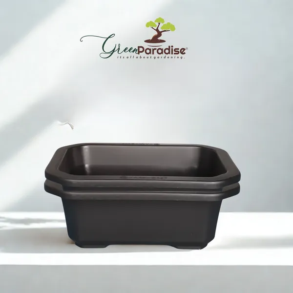 Green_Paradise_Premium_Black_Rectangular_Bonsai_Pot_Durable_Plastic_21cm_Pot_Single