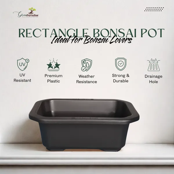 Green_Paradise_Premium_Black_Rectangular_Bonsai_Pot_Durable_Plastic_21cm_Pot_Single