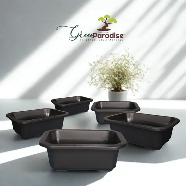Green_Paradise_Premium_Black_Rectangular_Bonsai_Pot_Durable_Plastic_21cm_Pot_Set_Of_5