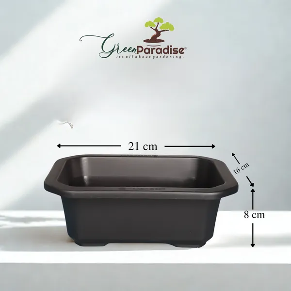 Green_Paradise_Premium_Black_Rectangular_Bonsai_Pot_Durable_Plastic_21cm_Pot_Set_Of_5