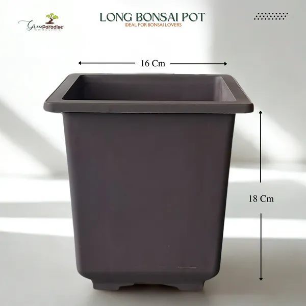 Green_Paradise_Bonsai_Training_Pots_Plastic_Pots_Tall_Square_Bonsai_Pots_Purple_Clay_Color_Plastic_Bonsai_Pots_Set_Of_3