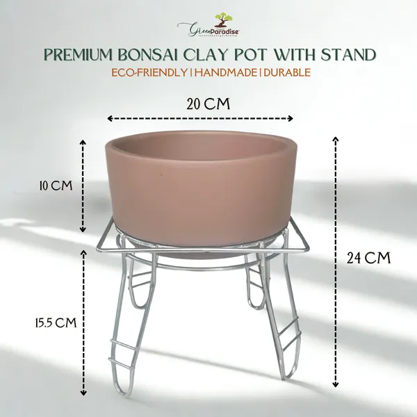 Green_Paradise_Premium_Bonsai_Clay_Pot_With_Stainless_Steel_Metal_Stand_Planter_For_Healthy_Bonsai_Growth_Default_Title