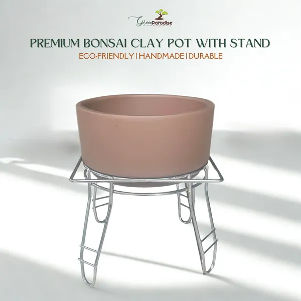 Green_Paradise_Premium_Bonsai_Clay_Pot_With_Stainless_Steel_Metal_Stand_Planter_For_Healthy_Bonsai_Growth_Default_Title