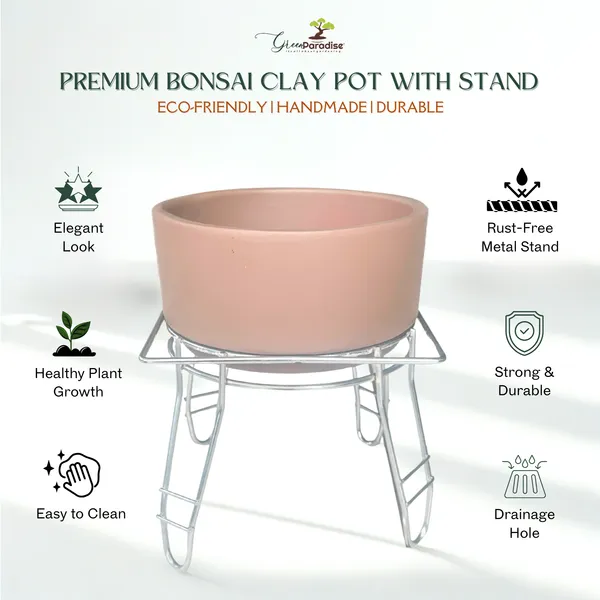 Green_Paradise_Premium_Bonsai_Clay_Pot_With_Stainless_Steel_Metal_Stand_Planter_For_Healthy_Bonsai_Growth_Default_Title