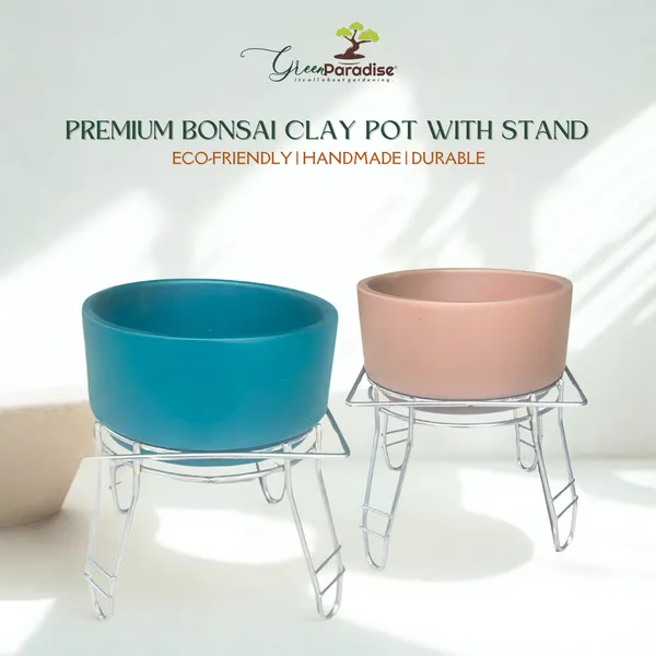 Green_Paradise_Premium_Bonsai_Clay_Pot_With_Stainless_Steel_Metal_Stand_Planter_For_Healthy_Bonsai_Growth_Default_Title
