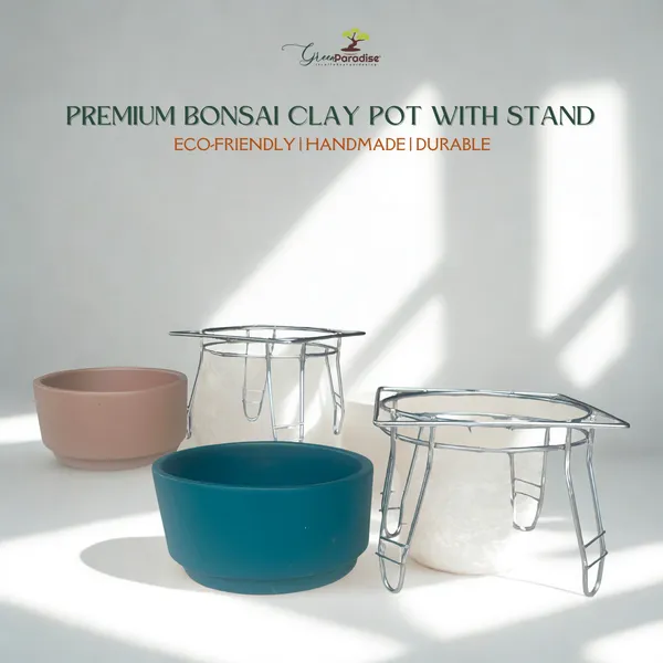 Green_Paradise_Premium_Bonsai_Clay_Pot_With_Stainless_Steel_Metal_Stand_Planter_For_Healthy_Bonsai_Growth_Default_Title