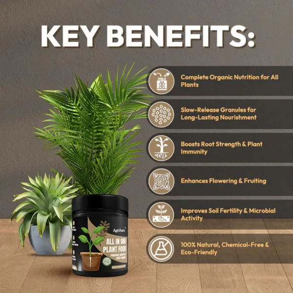 Green_Paradise_All_In_One_Plant_Food_Premium_Granular_Organic_Fertilizer_For_All_Plants_Default_Title