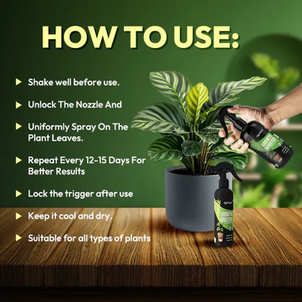 Green_Paradise_Growth_Booster_Ready_To_Use_All_In_One_Plant_Tonic_100_Organic_500ml_Default_Title