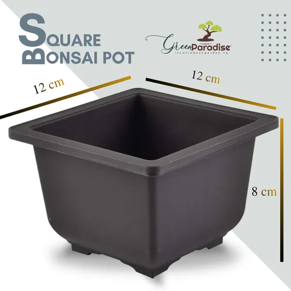 Green_Paradise_Bonsai_Pots_Plastic_Bonsai_Training_Pots_Square_Purple_Clay_Color_Set_Of_5
