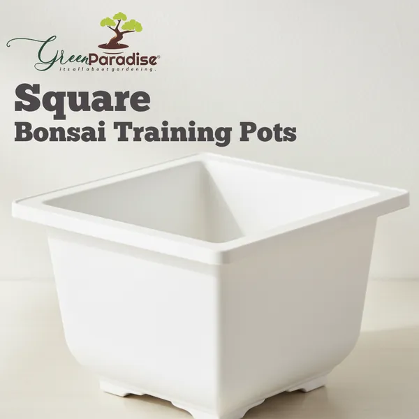 Green_Paradise_Bonsai_Pots_Plastic_Bonsai_Training_Pots_Square_White_Set_Of_5