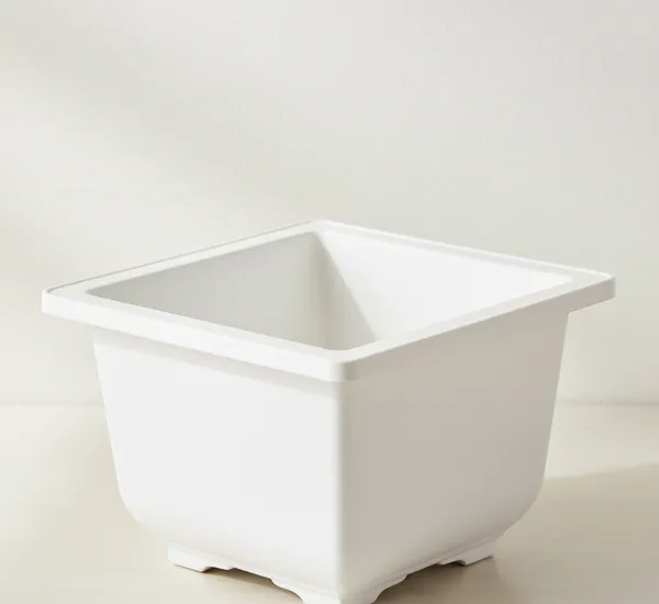 Green_Paradise_Bonsai_Pots_Plastic_Bonsai_Training_Pots_Square_White_Set_Of_10