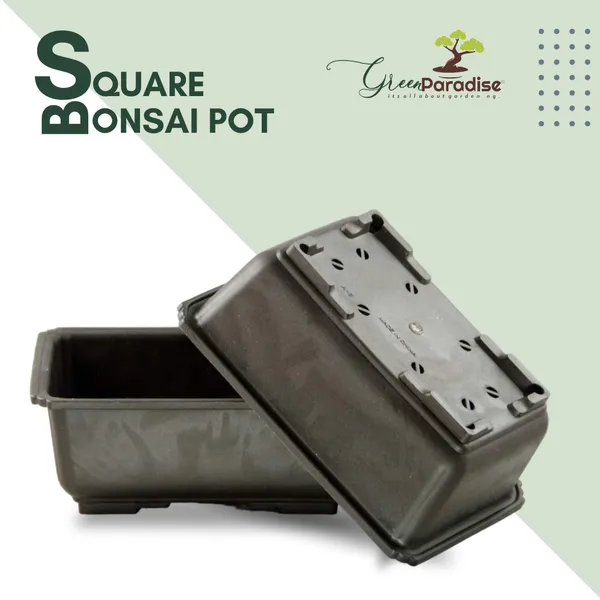 Green_Paradise_Bonsai_Training_Pots_Rectangle_14_Cm_Brown_Plastic_Bonsai_Pots_Ideal_For_Mame_And_Shohin_Bonsai_Training_3
