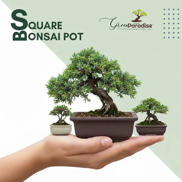 Green_Paradise_Bonsai_Training_Pots_Rectangle_14_Cm_Brown_Plastic_Bonsai_Pots_Ideal_For_Mame_And_Shohin_Bonsai_Training_3