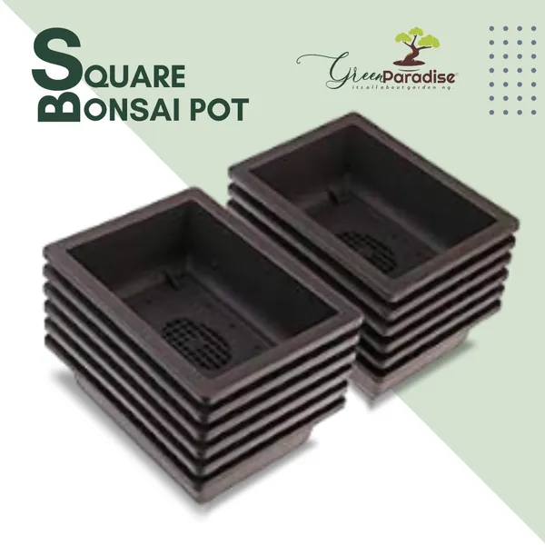 Green_Paradise_Bonsai_Training_Pots_Rectangle_14_Cm_Brown_Plastic_Bonsai_Pots_Ideal_For_Mame_And_Shohin_Bonsai_Training_3