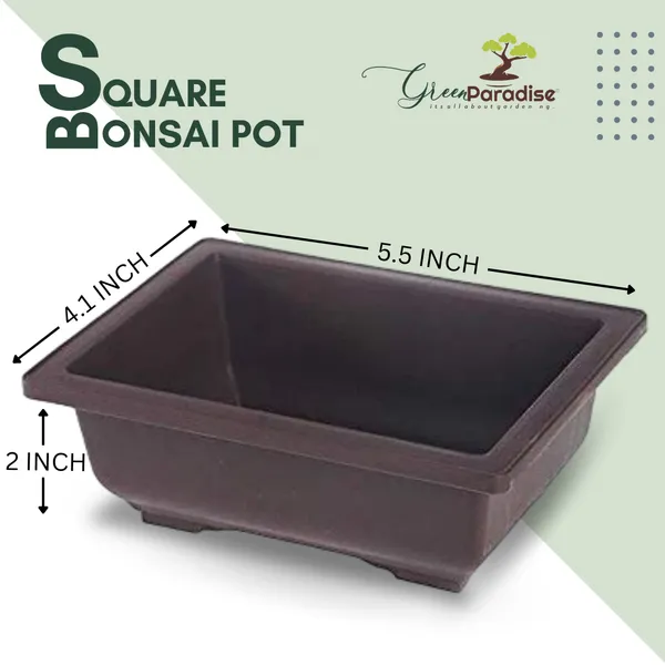 Green_Paradise_Bonsai_Training_Pots_Rectangle_14_Cm_Brown_Plastic_Bonsai_Pots_Ideal_For_Mame_And_Shohin_Bonsai_Training_5