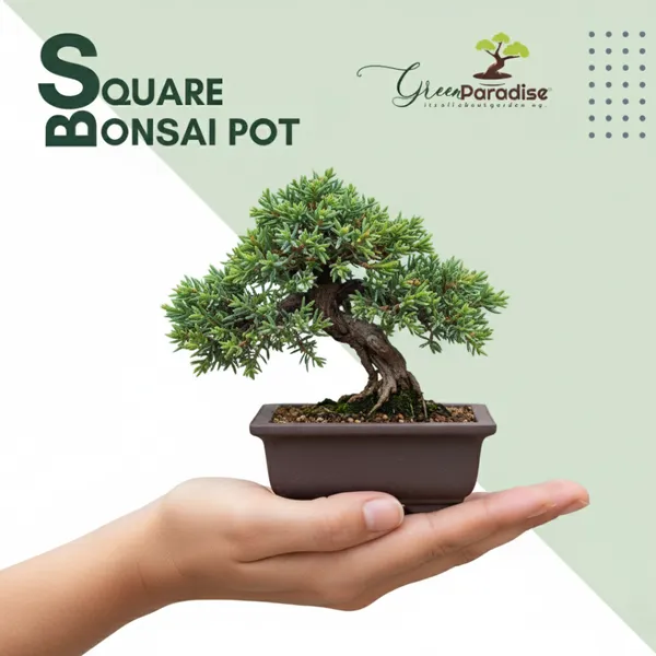 Green_Paradise_Bonsai_Training_Pots_Rectangle_14_Cm_Brown_Plastic_Bonsai_Pots_Ideal_For_Mame_And_Shohin_Bonsai_Training_10