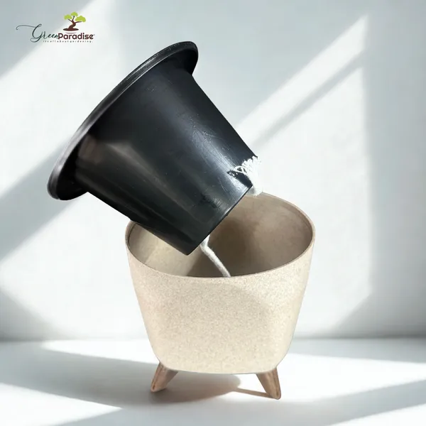 Green_Paradise_Premium_Plastic_Pot_Durable_Lightweight_Planters_3