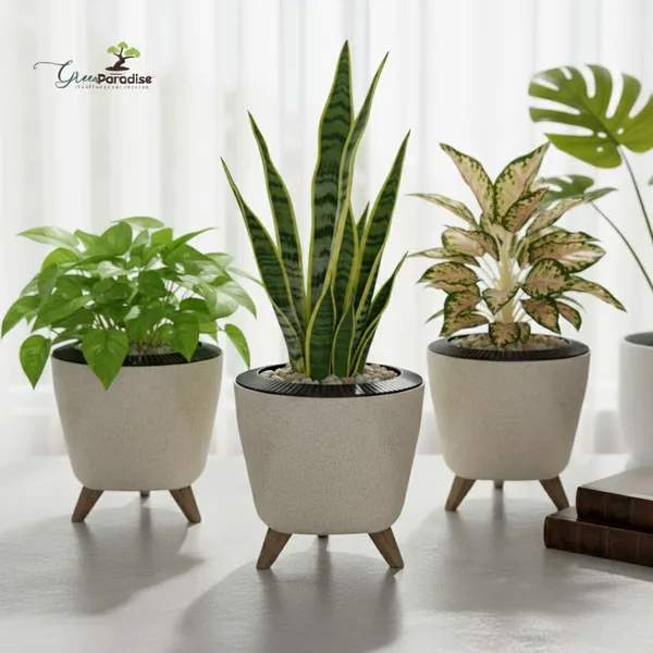 Green_Paradise_Premium_Plastic_Pot_Durable_Lightweight_Planters_3