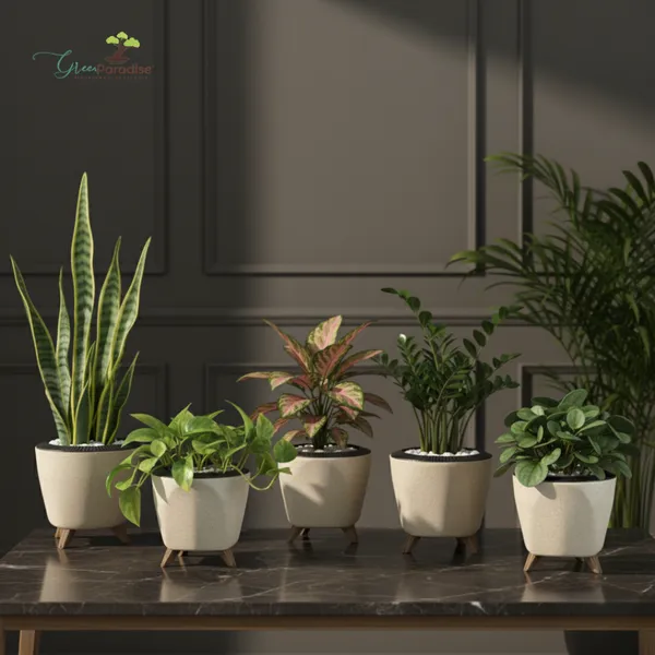 Green_Paradise_Premium_Plastic_Pot_Durable_Lightweight_Planters_5