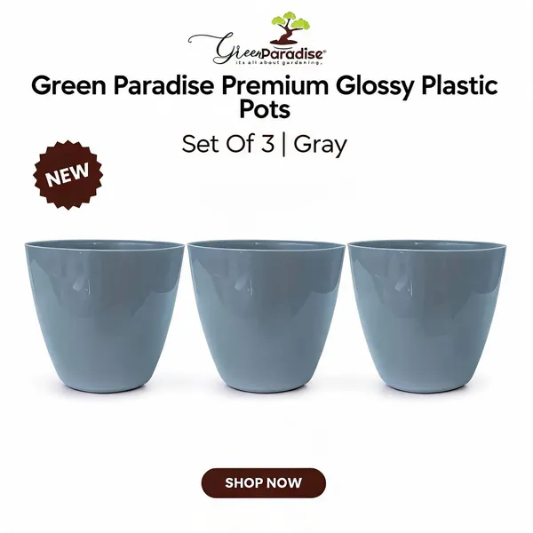 Premium_Glossy_Plastic_Pots_Pack_Of_3_Gray