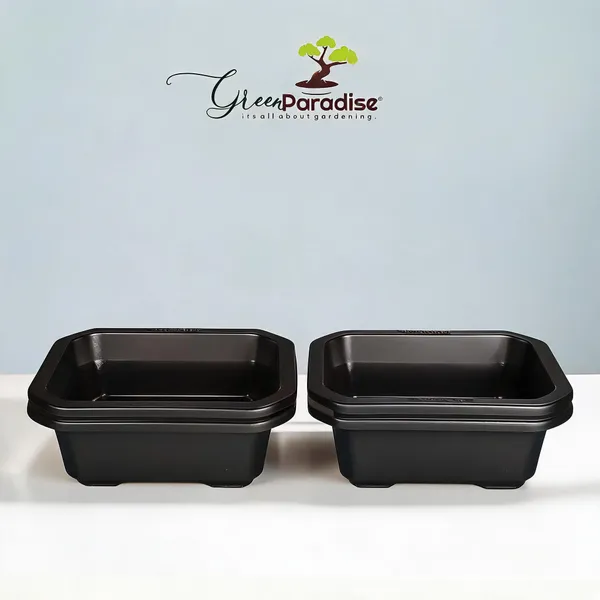 Premium_Black_Rectangular_Bonsai_Pot_Durable_Plastic_21Cm_Pot_Single_-_Pack_Of_2