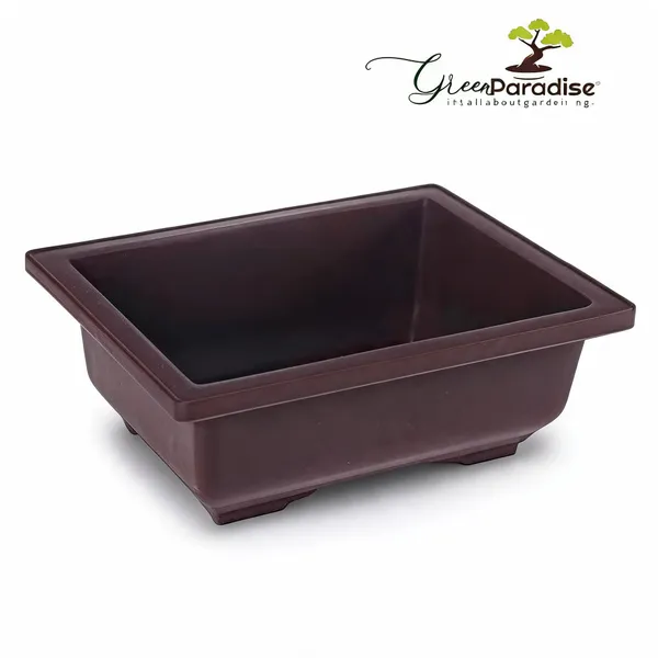 Bonsai_Training_Pots_Rectangle_14_Cm_Brown_Plastic_Bonsai_Pots_Ideal_For_Mame_And_Shohin_Bonsai_Training_5