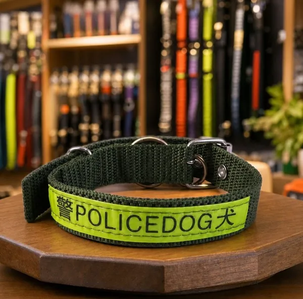 Nylon_Dog_Collar