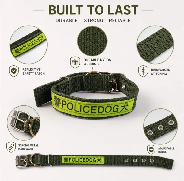 Nylon_Dog_Collar